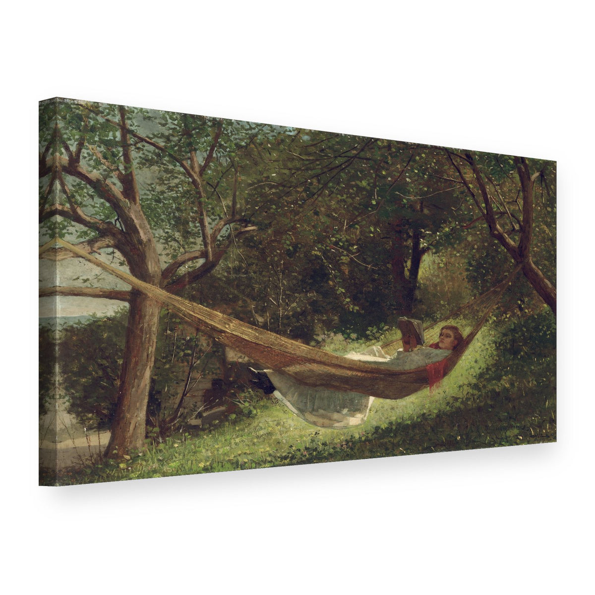 Slika na platnu Djevojka u visećoj mreži – Winslow Homer, 3D prikaz