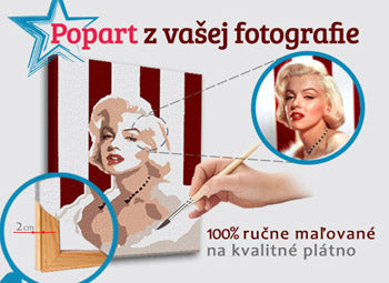 Oslikana POP Art slika s fotografije - ŠTVOREC FOTO-POPS | različite veličine