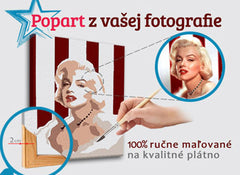 Oslikana POP Art slika s fotografije - ŠTVOREC FOTO-POPS | različite veličine