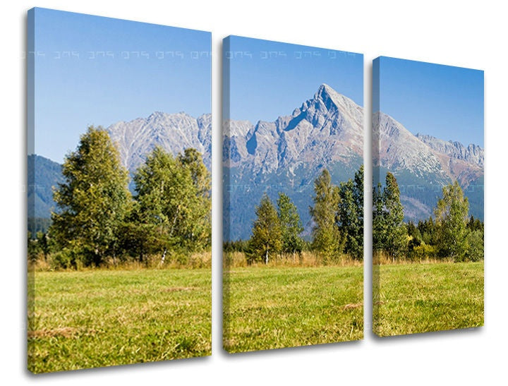 Slika na platnu s motivom planinski krajolik s livadom i drvećem – 3D prikaz platna s vidljivim drvenim okvirom, Papilora.