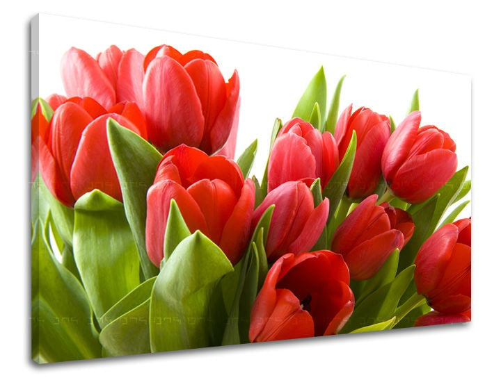Zidna slika CVIJEĆE TULIPANI – vizualizacija platna s drvenim okvirom, Papilora.