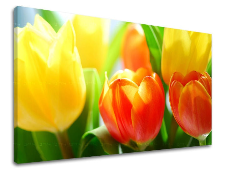 Slika na platnu s motivom žuti i narančasti tulipani – 3D prikaz platna s vidljivim drvenim okvirom, Papilora.