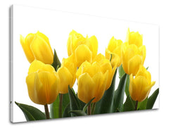 Slika na platnu s motivom žuti tulipani na bijeloj pozadini – 3D prikaz platna s vidljivim drvenim okvirom, Papilora.