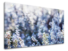 Slika na platnu s motivom smrznuto bilje s bokeh efektom – 3D prikaz platna s vidljivim drvenim okvirom, Papilora.