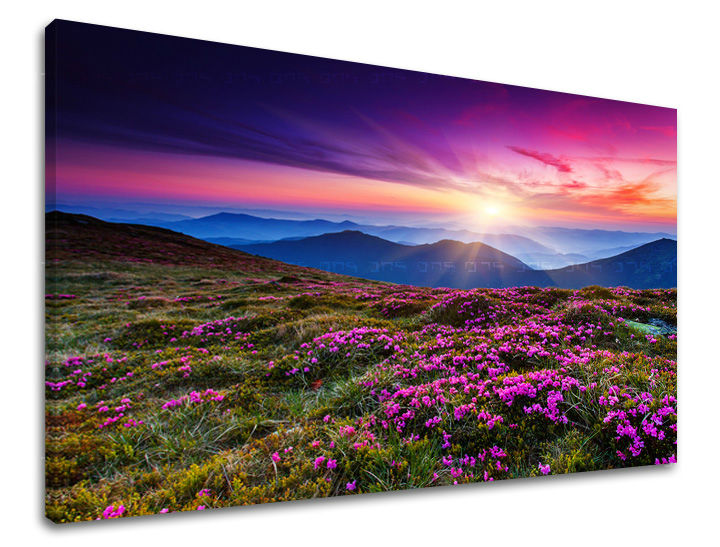 Slika na platnu s motivom planinski krajolik s cvijećem i zalaskom sunca – 3D prikaz platna s vidljivim drvenim okvirom, Papilora.