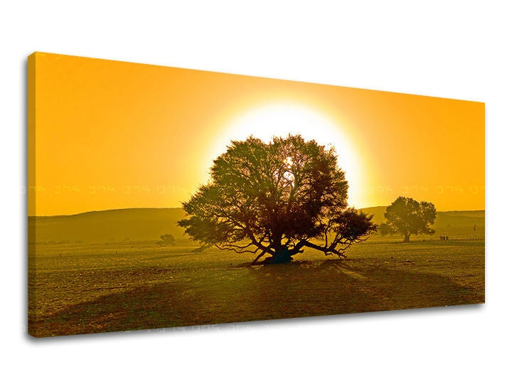 Zidna slika PANORAMA DRVEĆE