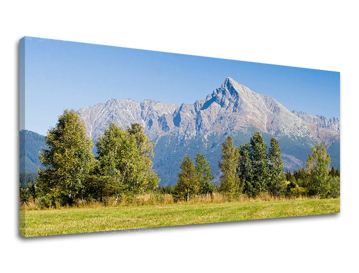 Slika na platnu s motivom planinski krajolik s drvećem i travom – 3D prikaz platna s vidljivim drvenim okvirom, Papilora.