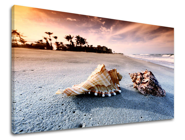Slika na platnu s motivom školjke na pješčanoj plaži zalazak sunca – 3D prikaz platna s vidljivim drvenim okvirom, Papilora.