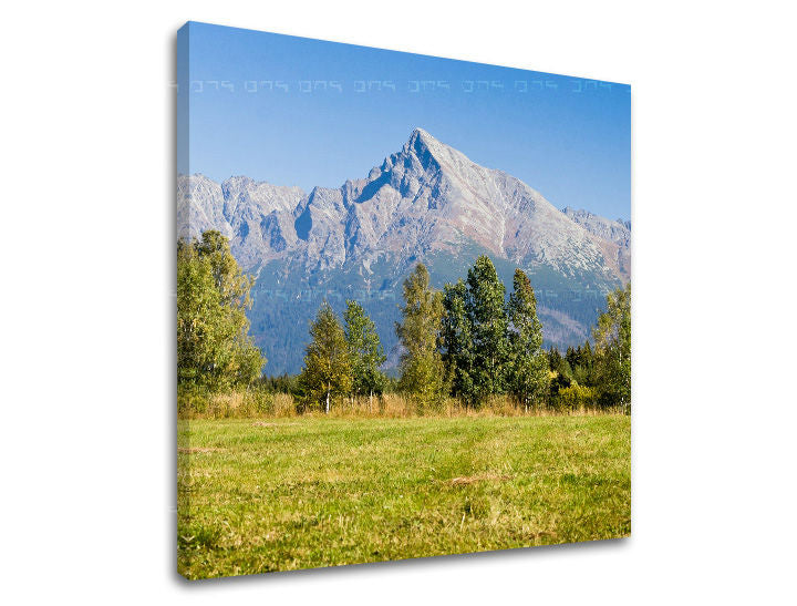 Slika na platnu s motivom planinski vrhovi i zelena livada – 3D prikaz platna s vidljivim drvenim okvirom, Papilora.