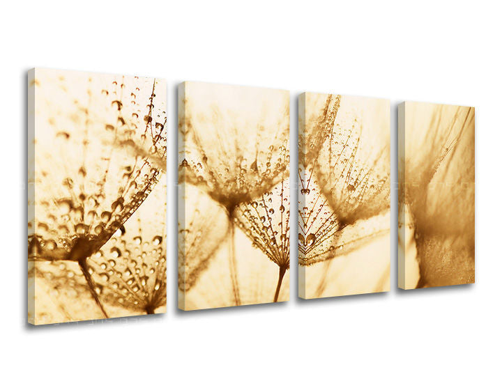 Slika na platnu s motivom maslačak s kapljicama vode, sepia – 3D prikaz platna s vidljivim drvenim okvirom, Papilora.
