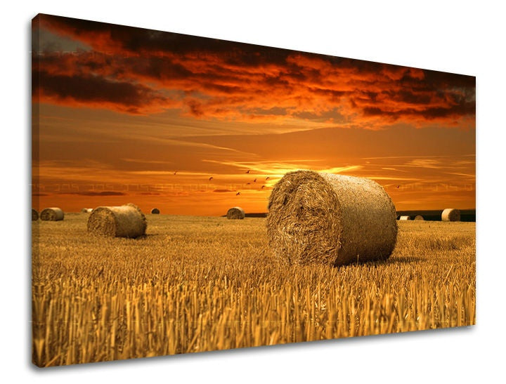 Slika na platnu s motivom polje sijena zalazak sunca – 3D prikaz platna s vidljivim drvenim okvirom, Papilora.